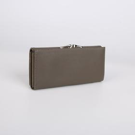 

Кошелёк на магнитах, цвет серый