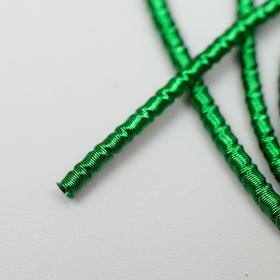 

Канитель мягкая, фигурная 2 мм, матовый, дартмутский зеленый 5 гр