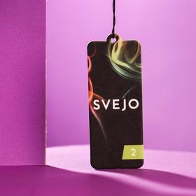 

Подвесной парфюмированный ароматизатор SVEJO №2 Light green