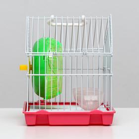 

Клетка для грызунов, 22 х 16 х 19 см, микс