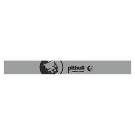 

Полоса на лобовое стекло "Pitbull racing", серебро, 160 х 17 см