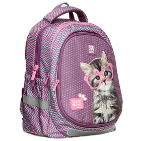 

Рюкзак школьный, Studio Pets 700 (2p), 38 х 28 х 16 см, эргономичная спинка, с крышкой