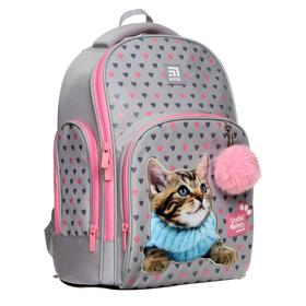 

Рюкзак школьный, Studio Pets 706, 38 х 29 х 16.5 см, эргономичная спинка