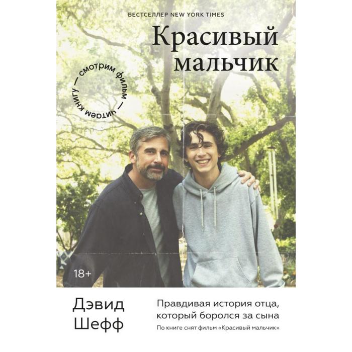 

Красивый мальчик. Правдивая история отца, который боролся за сына. Дэвид Шефф