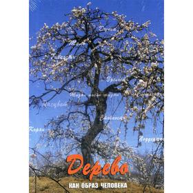 

Дерево. Как образ человека. Кац Г., Мухаматулина Р.