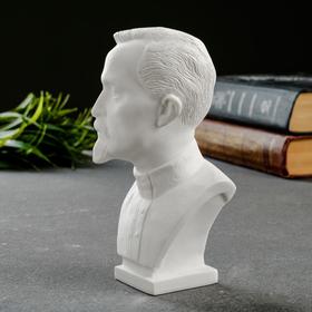 

Бюст Дзержинского, 12,5см