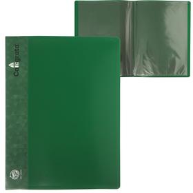 Папка 10 прозр вкладышей A4 500мкм Calligrata, карман на корешок, зеленый