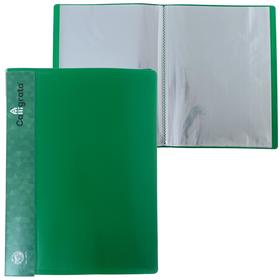 Папка 40 прозр вкладышей A4 500мкм Calligrata, карман на корешке, зеленый