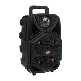 

УЦЕНКА Портативная караоке система BK1002, microSD/USB/FM, Bluetooth 5.1, 20 Вт, 1800 мАч,