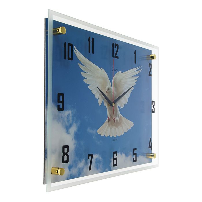 Часы настенные прямоугольные "Голубь в небе", 35х45 см