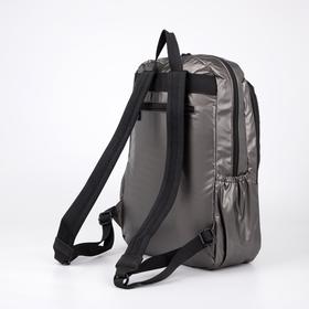 

Рюкзак, 2 отдела на молниях, 3 наружных кармана, 2 боковых кармана, цвет серебристый