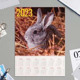Календарь листовой А4 'Символ года - 2023 - 9' Ош