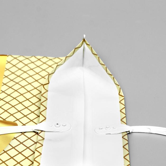 Пакет "Золотистый", полиэтиленовый с пластиковой ручкой, 44х40 см, 100 мкм