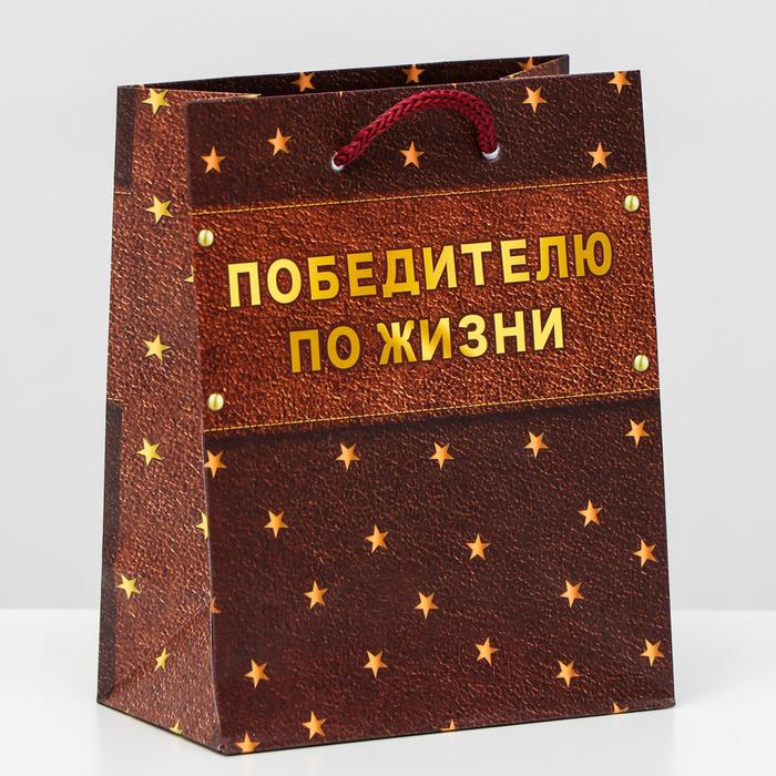 

Пакет подарочный "Победителю по жизни", 11,5 х 14,5 х 6,5 см