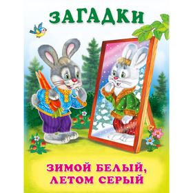 

Загадки для малышей «Зимой белый, летом серый»