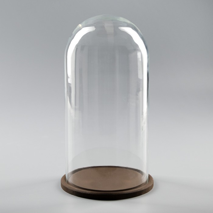 Стеклянный купол-клош на деревянной подставке 