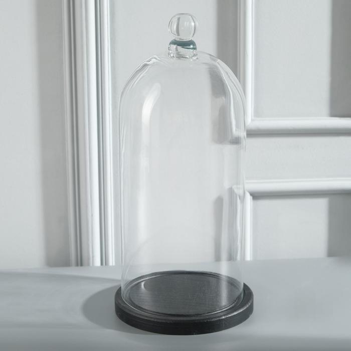 Стеклянный купол-клош с шариком на деревянной подставке 