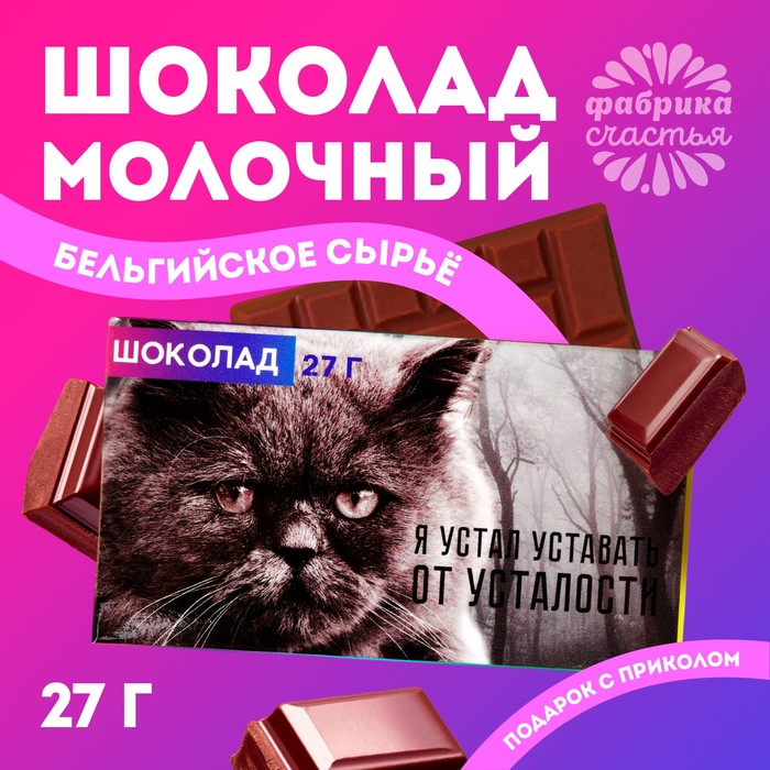 Шоколад молочный «Я устал уставать», 27 г. молочный шоколад я бы за тебя вышла 27 г