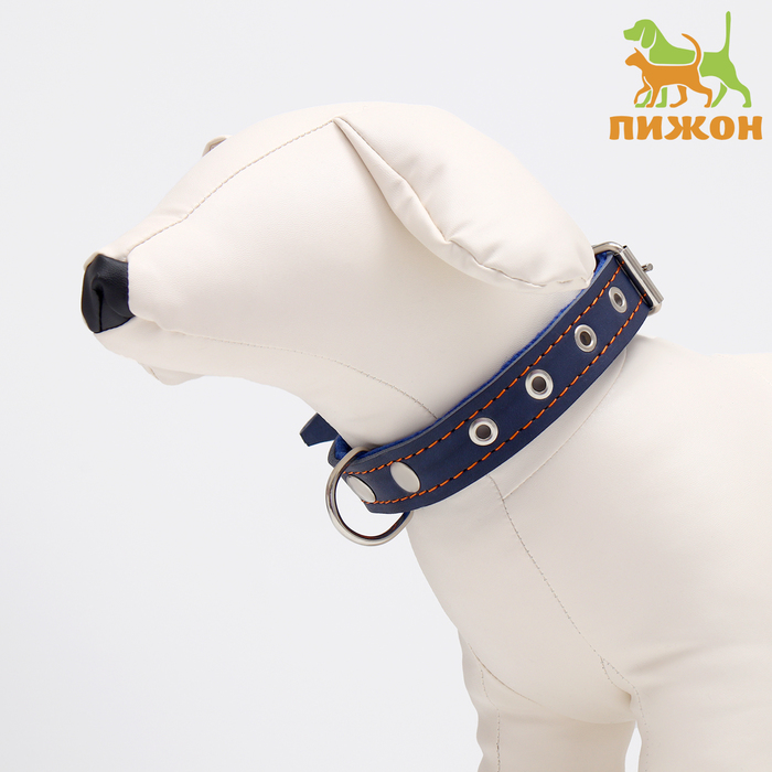 

Ошейник комбинированный кожа/брезент, безразмерный, 56 х 2,5 см, ОШ 25-51 см, синий