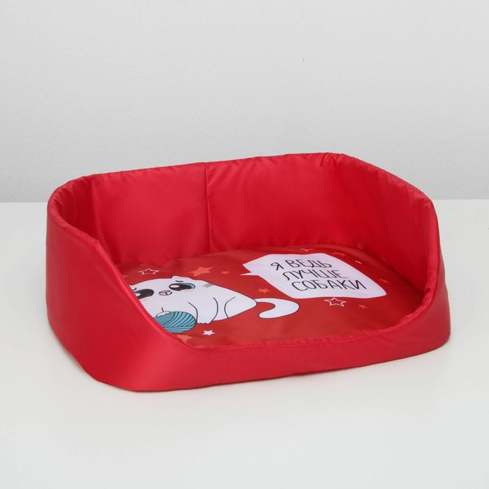 Лежанка для животных с бортом 48 х 36 см «Я ведь лучше собаки»