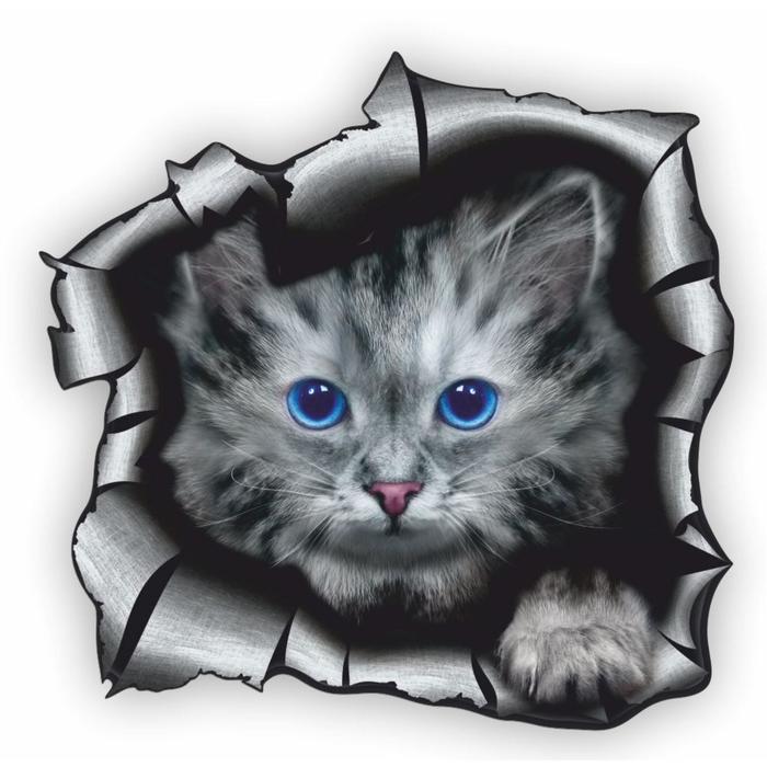 Наклейка Разлом Кошка, 25 х 25 см портрет звери цветныеорел разлом с огнем 25 х 25 см