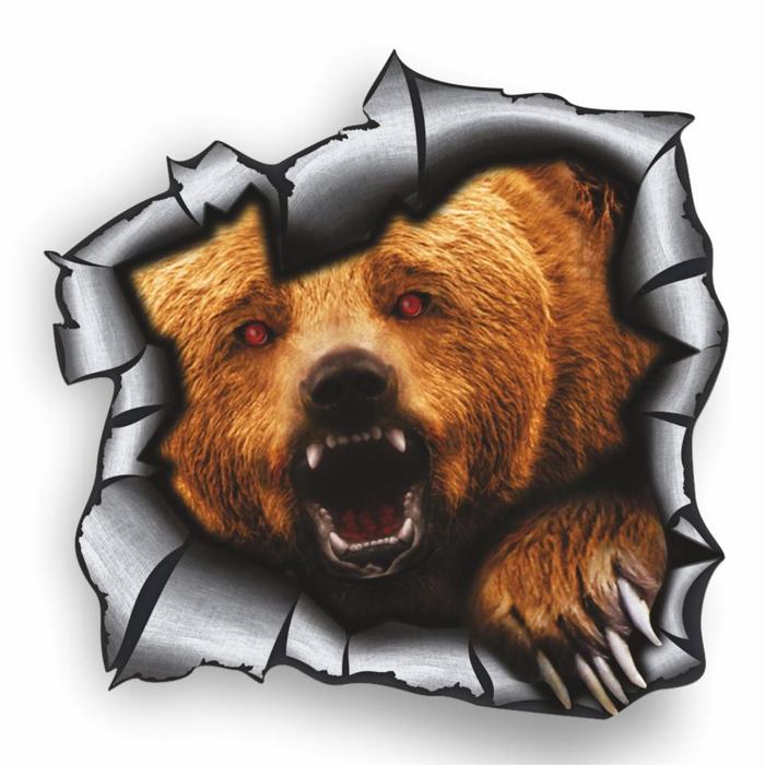 Наклейка Разлом Медведь, 25 х 25 см портрет звери цветныеорел разлом с огнем 25 х 25 см