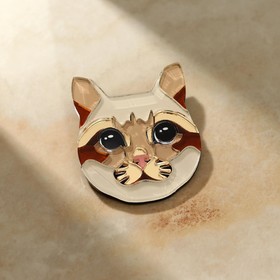 

Брошь акрил "Том" кошка, цветная