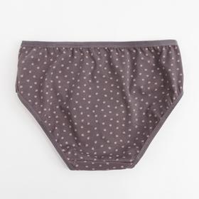 

Трусы женские слипы, цвет коричневый, размер 52-54 (2XL)