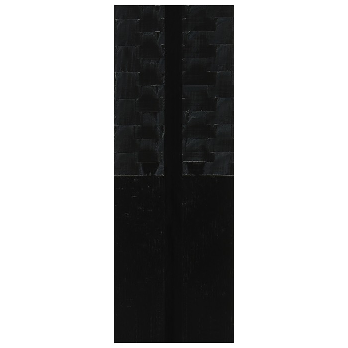 Комплект лыжный БРЕНД ЦСТ Step, 170/130 (+/-5 см), крепление NNN, цвет МИКС