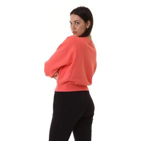 

Свитшот женский Champion Legacy American Classics Crewneck Sweatshirt, размер XS (112588-PS004) 70