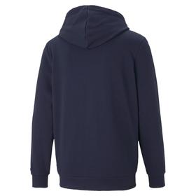 

Толстовка мужская Puma Ess+ 2 Col Fz Hoodie Tr, размер 50-52 (58676106)