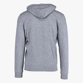 

Толстовка мужская Champion Legacy Graphic Shop Authentic Hooded Sweatshirt, размер L (214297-EM006)