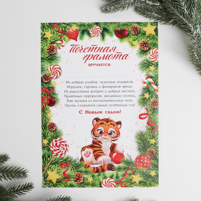 новогодние дипломы для детей. грамота новогодняя. грамота символ года. грамота символ года 2024 шаблон. диплом новогодний.