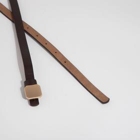 

Ремень женский, ширина 1,4 см, гвоздик, цвет коричневый