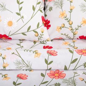 

Постельное белье Этель Дуэт Flower field 143*215 см - 2 шт, 240*220 см, 70*70 см - 2 шт