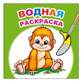 

Солнышко