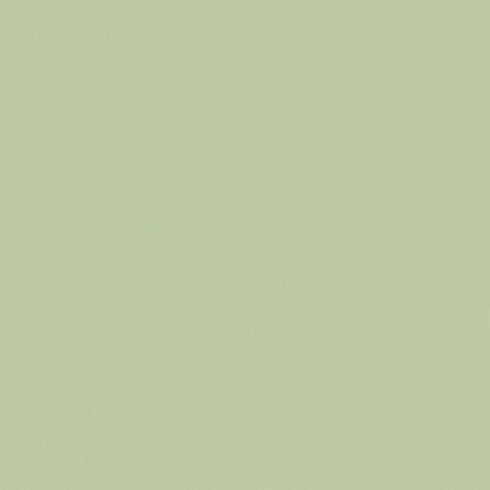 Рулонная штора блэкаут Decofest «Плайн», 160х175 см, цвет весенний