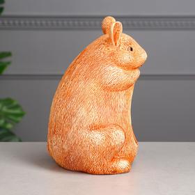 

Ванна для шиншилл, оранжевая, 24 см