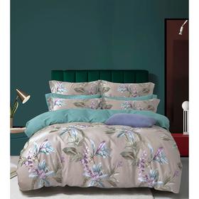 

КПБ «Глорис» дуэт, размер 160х200 см, 145х210 см-2 шт, 52х74 см-2 шт, 70х70 см-2 шт