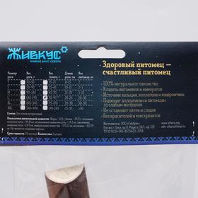 

Лакомство «ЖИВКУС» для собак, сплит рога северного оленя, 83 г