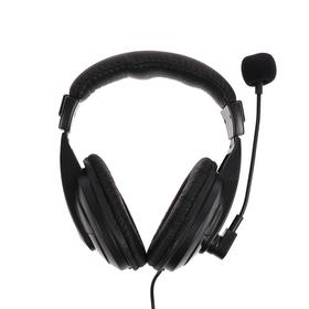 

Наушники Ritmix RH-524M, компьютерные, микрофон, 105 дБ, 32 Ом, 3.5 мм, 2 м, чёрные