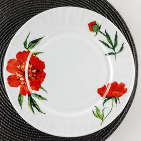 Тарелка обеденная Доляна «Бархатная роза», d=25 см, цвет белый