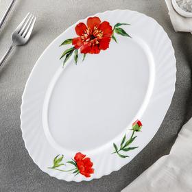 Блюдо овальное Доляна «Бархатная роза», 30×22 см, цвет белый