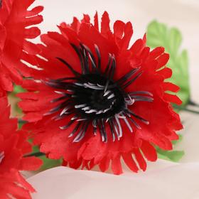 

Букет "Пышные астры" 33 см (диаметр цветка 6 см) микс