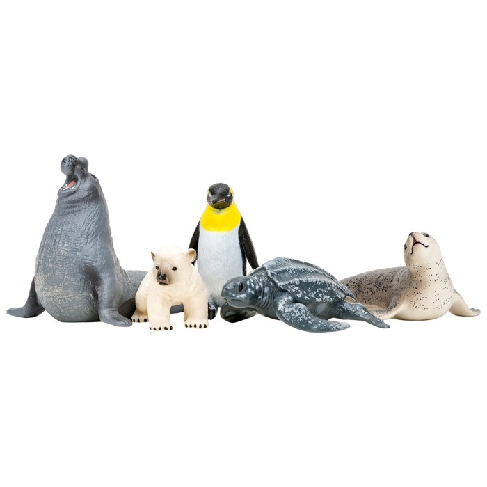 фото Набор фигурок: тюлень, белый медвежонок, пингвин, черепаха, морской слон, 5 предметов masai mara