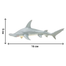 Набор фигурок: кит, рыбка-молот, манта, морской леопард, дайвер, 6 предметов от Сима-ленд