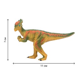Набор фигурок: птеродактиль, брахиозавр, аллозавр, пахицефалозавр, 7 предметов от Сима-ленд