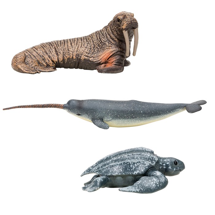 Набор фигурок «Мир морских животных», 3 фигурок набор фигурок мир морских животных 7 фигурок