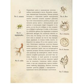 

Пособие по разведению ангелов. Касдепке Г.