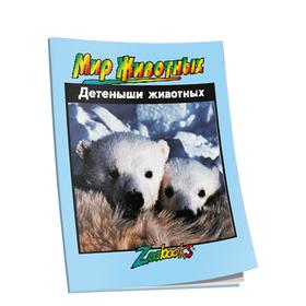 

Детеныши животных
